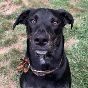 Meet your Posher, Kris